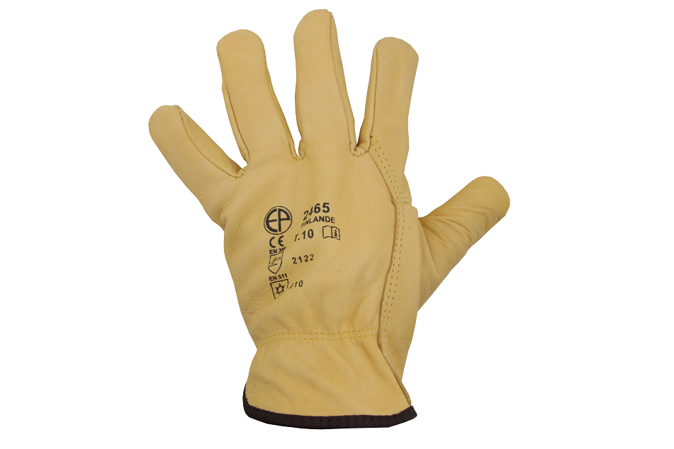 Vinterhandskar i läder Eurotechnique 2465 - Bild 3