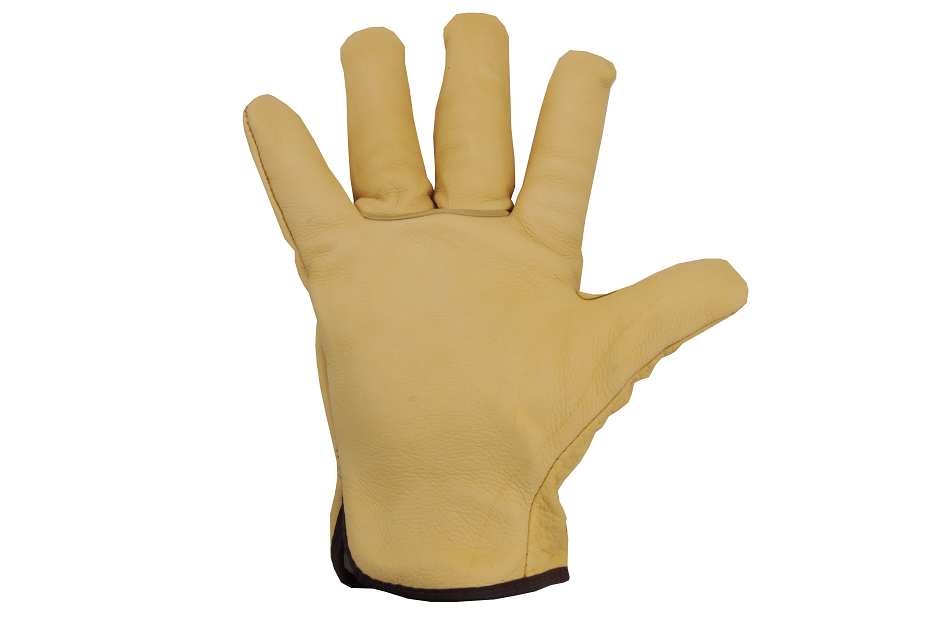 Vinterhandskar i läder Eurotechnique 2465 - Bild 2
