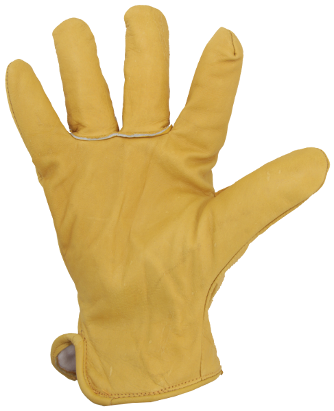 Vinterhandskar i läder Eurotechnique 2480 Alaska - Bild 2