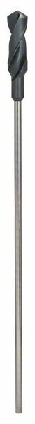 Bosch PRO Wood HSS-installationsborr, 30 x 100 x 600 mm